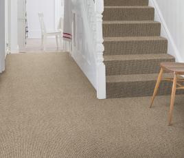 Wool Tipple Kahlua Carpet 1885 on Stairs thumb