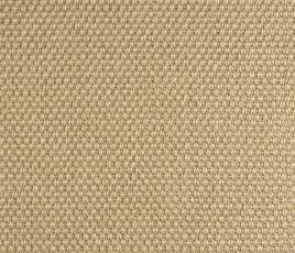 Sisal Panama Penwood Carpet 2502 Swatch thumb