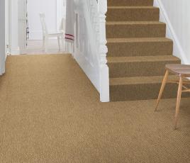 Anywhere Panama Caramel Carpet 8027 on Stairs thumb