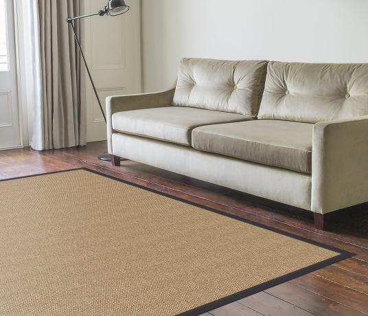 Tim Sisal Rug in Living Room