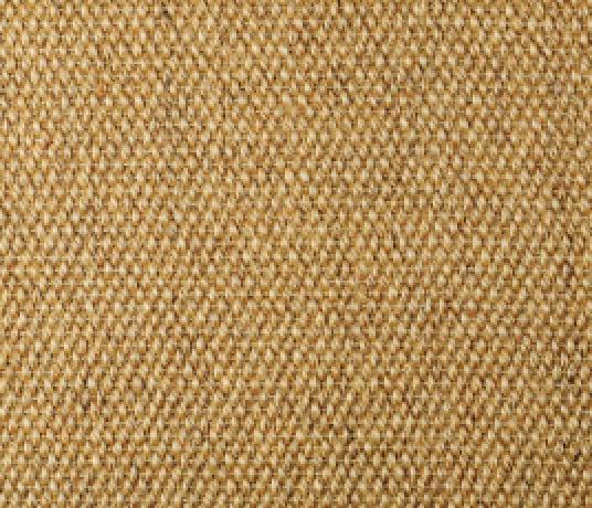 Sisal Panama Pershore Carpet 2508 Swatch