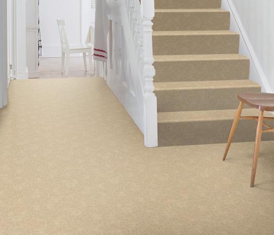 Barefoot Wool Bikram Karma Carpet 5901 on Stairs