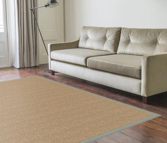 Dalia Sisal Rug in Living Room