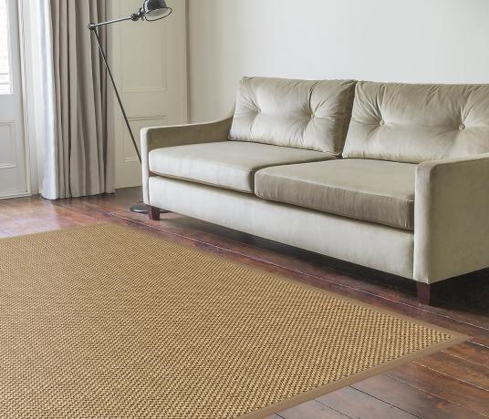 Susie Sisal Rug in Living Room