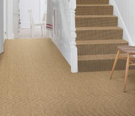 Anywhere Rope Natural Carpet 8060 on Stairs thumb