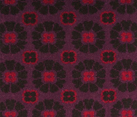 Quirky Ashley Hicks Daisy Cosmos Carpet 7262 Swatch