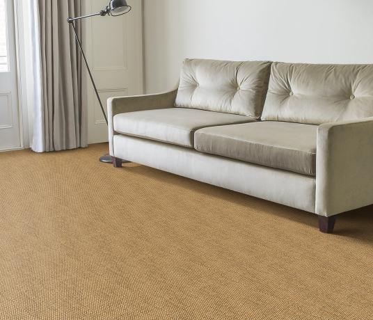 Sisal Panama Pilsbury Carpet 2532 in Living Room