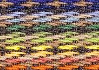 Rainbow Pride Border 6424 Swatch thumb