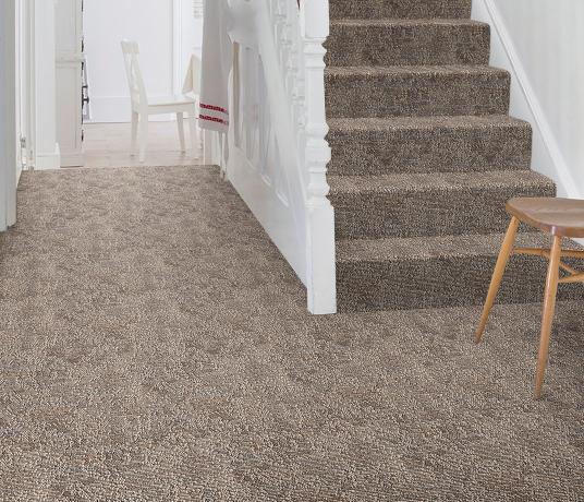 Anywhere Shadow Cast Carpet 8051 on Stairs