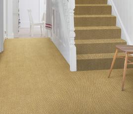 Sisal Herringbone Holbury Carpet 4415 on Stairs thumb