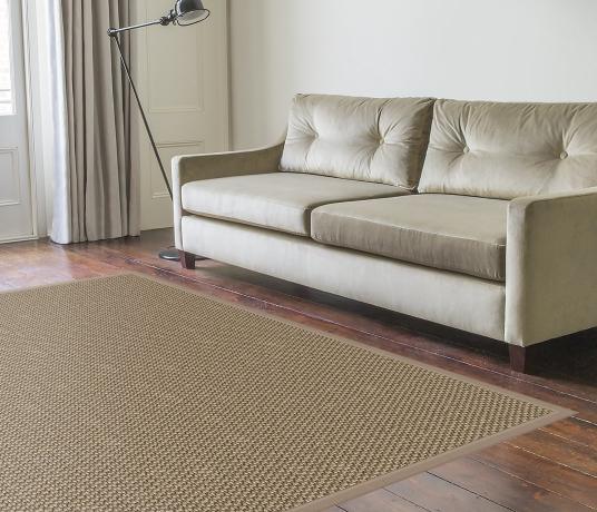 Stephen Sisal Rug in Living Room