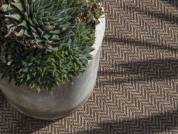 Outdoor Carpets & Rugs 