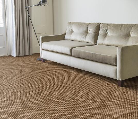 Sisal Bubbleweave Honey Bubble Carpet 2556 in Living Room