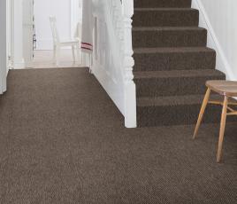 Anywhere Panama Cocoa Carpet 8022 on Stairs thumb