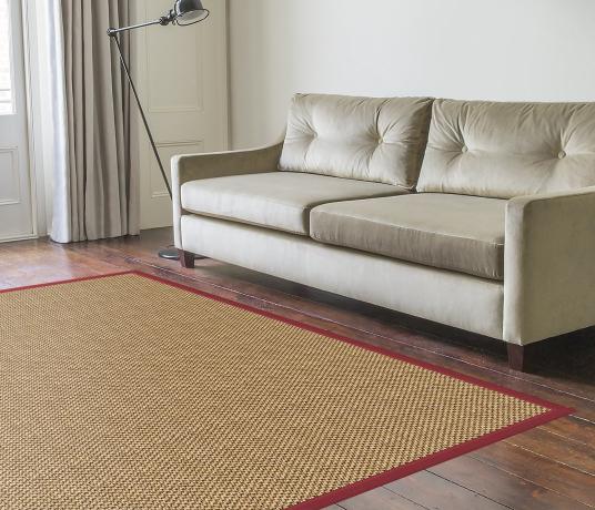 Louise Sisal Rug in Living Room