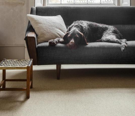 Wool Hygge Sisu Mokka Carpet 1571 lifestyle