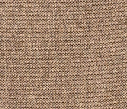 Anywhere Panama Syrup Carpet 8029 Swatch