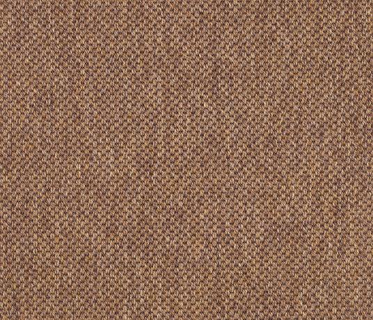 Anywhere Panama Copper Carpet 8021 Swatch