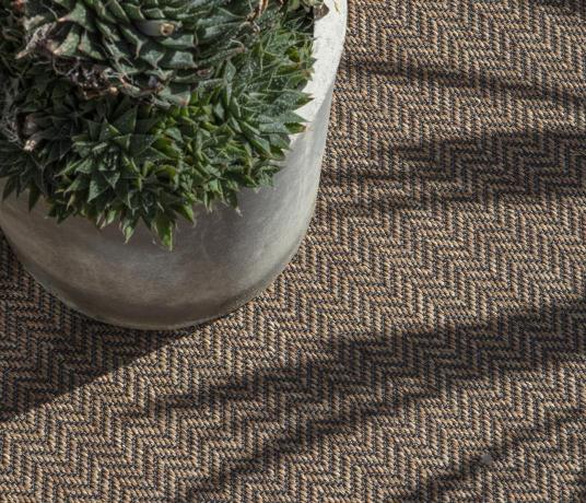 Anywhere Herringbone Copper Carpet 8041 lifestyle