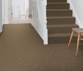 Sisal Bouclé Bitterne Carpet 1225 on Stairs thumb