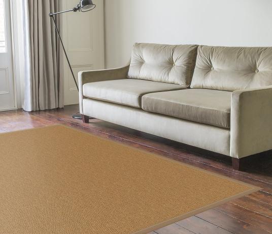 Sue Sisal Rug in Living Room