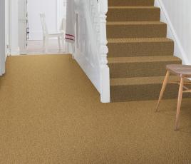 Sisal Bouclé Bayford Carpet 1220 on Stairs thumb