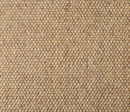 Sisal Panama Donegal Carpet 2503 Swatch