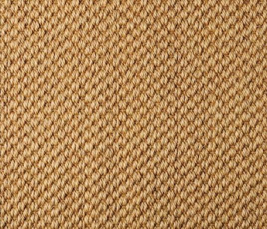 Sisal Malay Dragon Grass Carpet 2528 Swatch