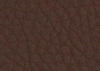 Faux Leather Expresso Border 5524 Swatch thumb