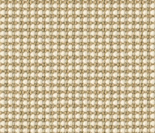 Woosie Panama Wise Carpet 2144 Swatch