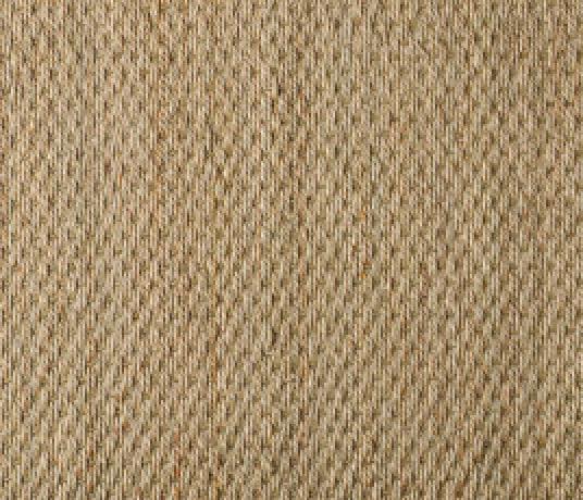 Seagrass Superior Carpet 2106 Swatch