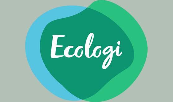 alternative flooring Ecologi 