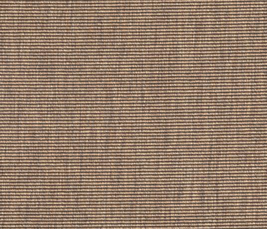 Anywhere Bouclé Syrup Carpet 8009 Swatch