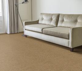 Anywhere Panama Caramel Carpet 8027 in Living Room thumb