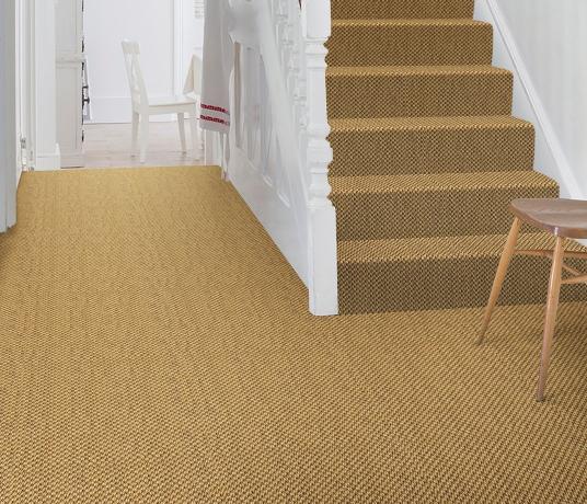 Sisal Malay Dragon Grass Carpet 2528 on Stairs