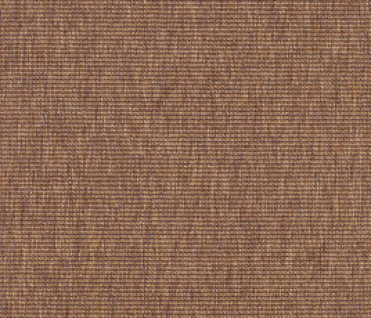 Anywhere Bouclé Copper Carpet 8001 Swatch