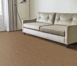 Sisal Bubbleweave Honey Bubble Carpet 2556 in Living Room thumb