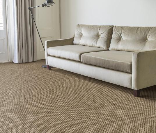 Sisal Bubbleweave Silver Bubble Carpet 2553 in Living Room