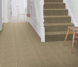 Sisal Malay Lhasa Carpet 2547 on Stairs thumb