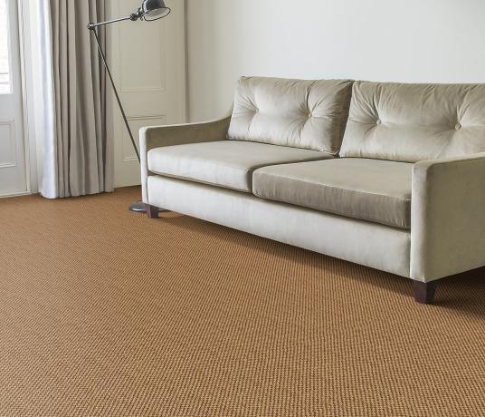 Sisal Malay Taiping Carpet 2546 in Living Room