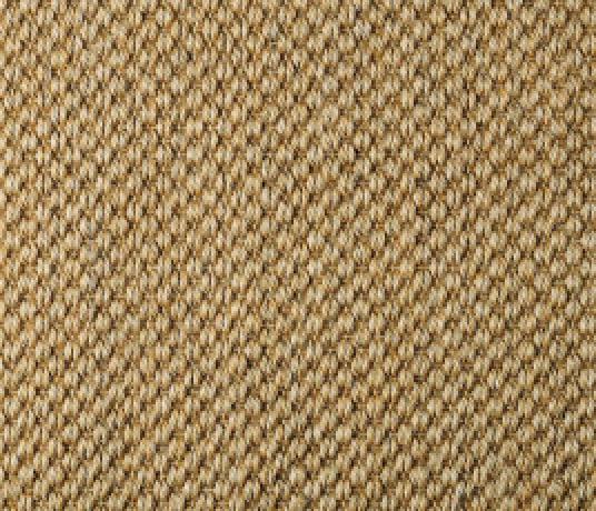 Sisal Malay Tigers Eye Carpet 2504 Swatch