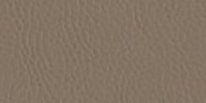 Faux Leather Borders Khaki 5527