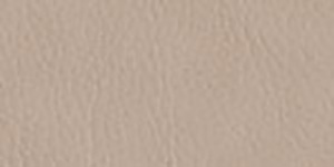 Faux Leather Borders Greige 5528