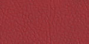 Faux Leather Borders Flame 5530