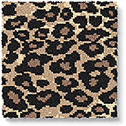 Quirky Leopard Java 7125